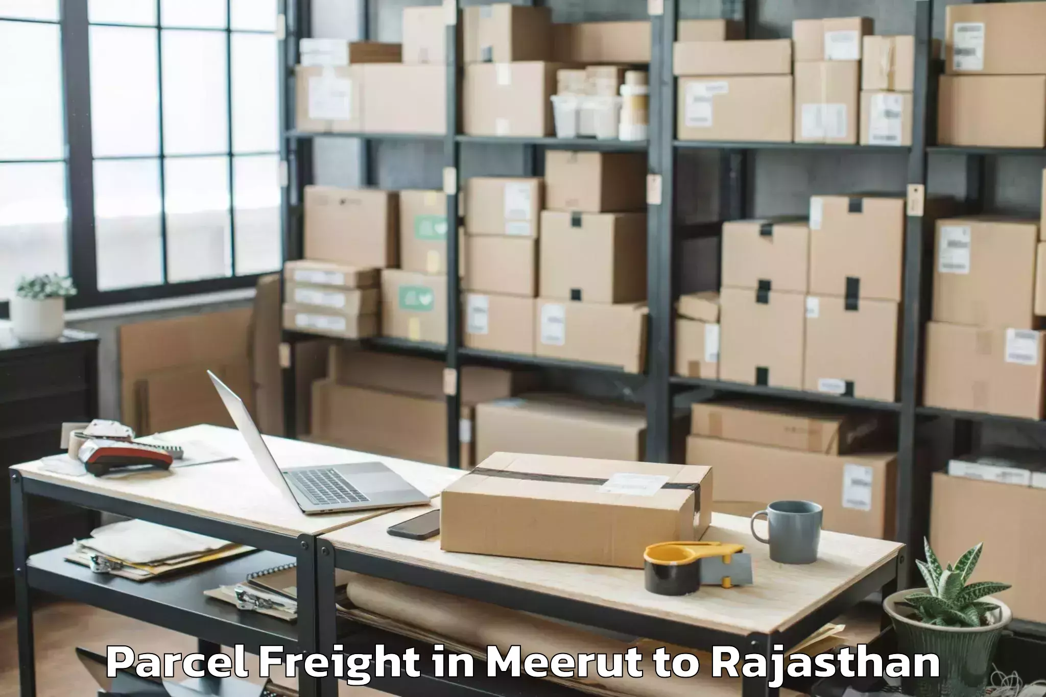 Easy Meerut to Tonk Parcel Freight Booking